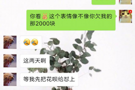 肇州企业清欠服务